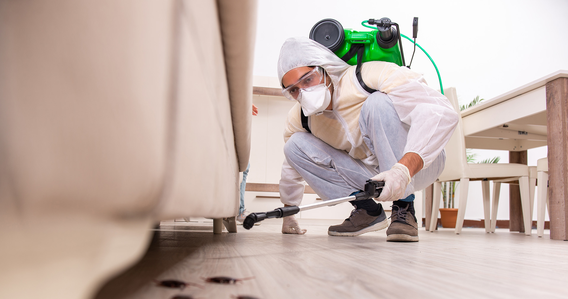 Pest-control-business-in-dubai-and-uae