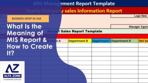 What Is the Meaning of MIS Report & How to Create It