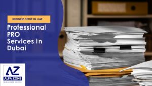 Professional PRO Services in Dubai