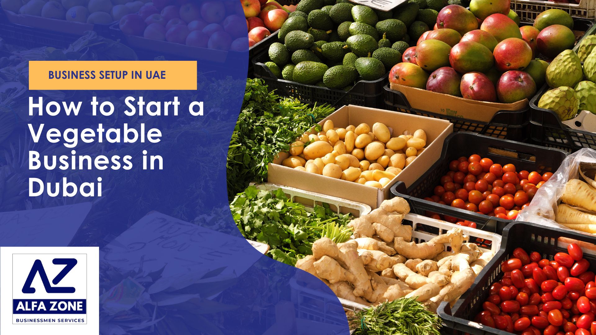 How to Start a Vegetable Business in Dubai