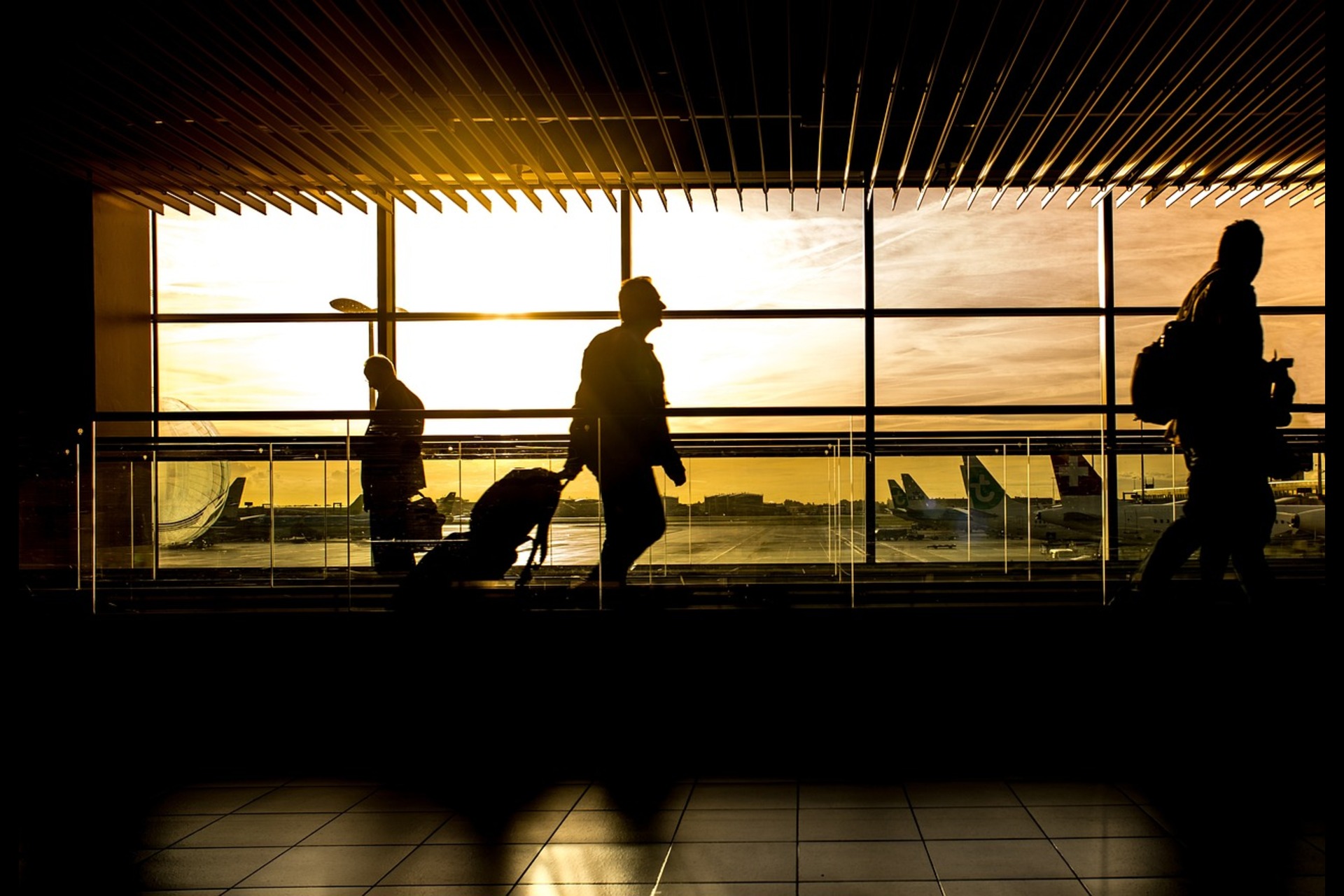immigration services 1
